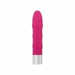Evolved Novelties Ignite Battery Vibrator DIY