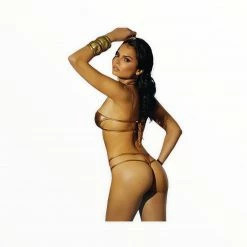 Elegant Moments Cut Out Metallic Bikini Boudoir